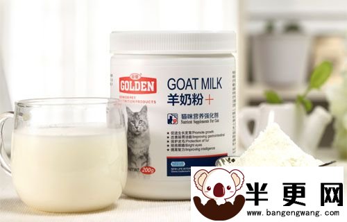猫吃什么奶粉 选择猫牛奶方法及喂养方法