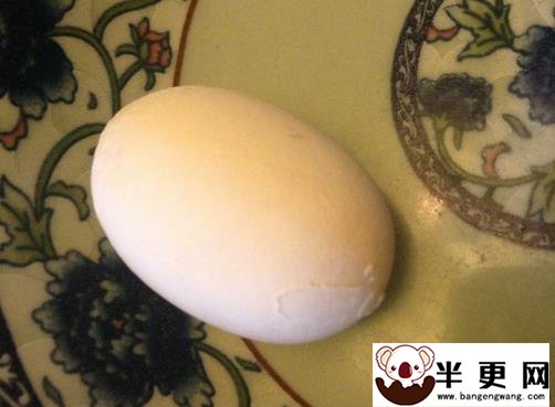 乌龟蛋怎么孵化 乌龟蛋孵化的注意事项