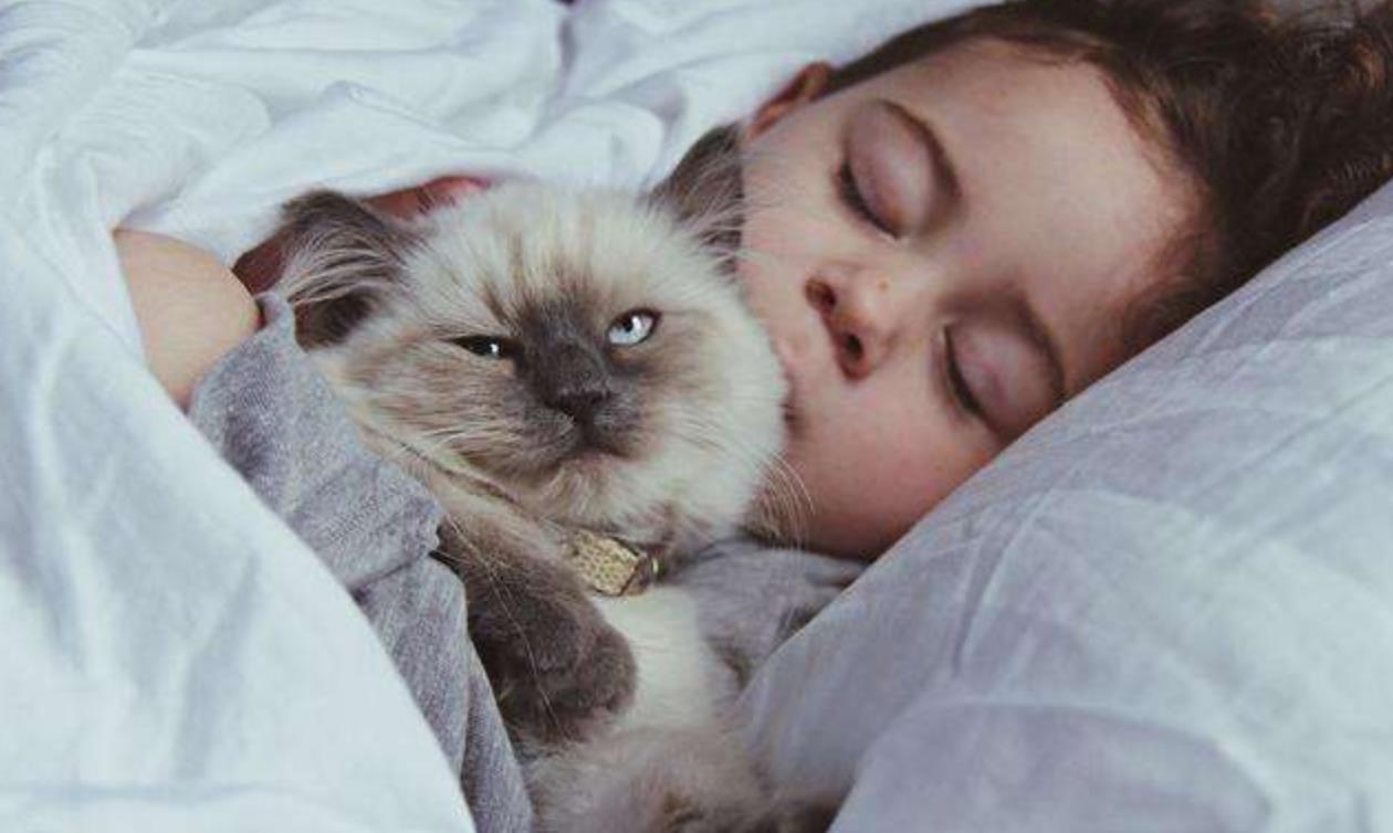 能不能跟猫咪睡觉？(可以让猫咪和自己睡觉吗)