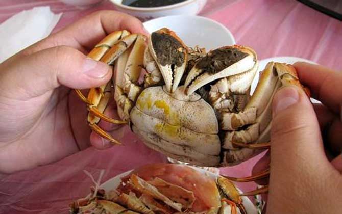 感冒能吃螃蟹吗