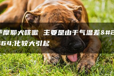 萨摩耶犬咳嗽 主要是由于气温差变化较大引起