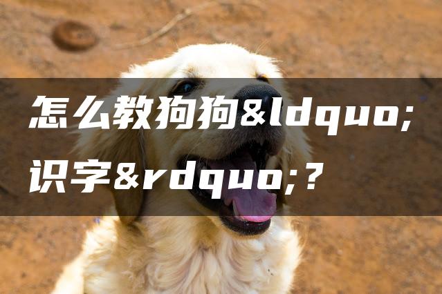 怎么教狗狗“识字”？