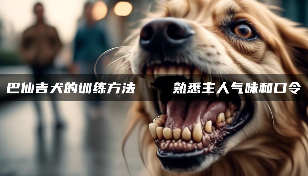 巴仙吉犬的训练方法    熟悉主人气味和口令
