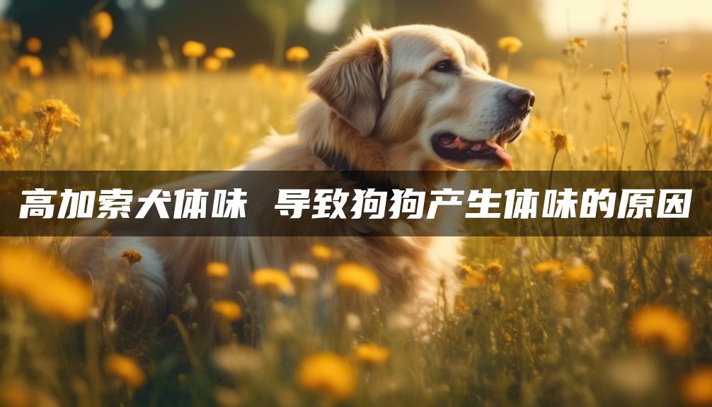 高加索犬体味 导致狗狗产生体味的原因